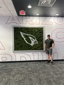 Moss Wall Installation in Tempe